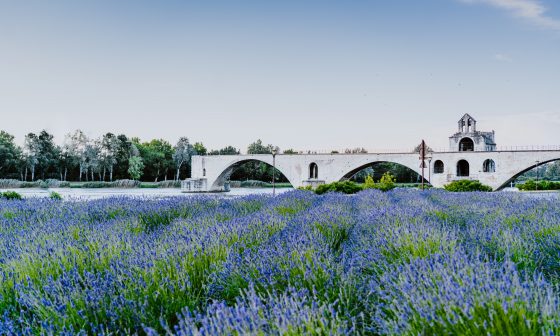 Visite Avignon que faire que voir TOP