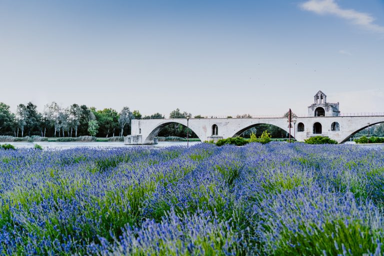 Visite Avignon que faire que voir TOP