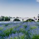 Visite Avignon que faire que voir TOP