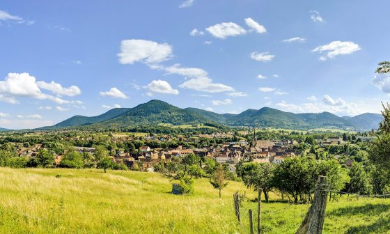 route des vins alsace decouverte beaux villages