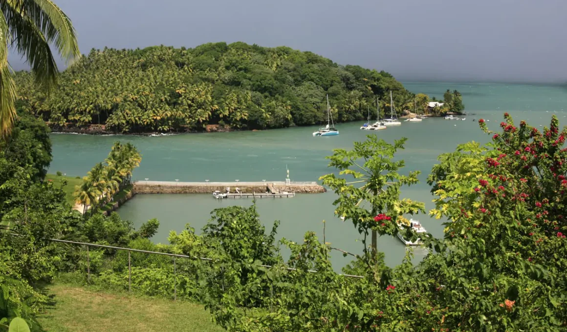 Quel véhicule pour votre voyage en Guyane ?