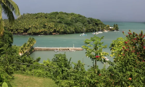 Quel véhicule pour votre voyage en Guyane ?