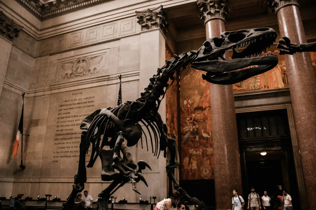 visiter american museum of natural history new york