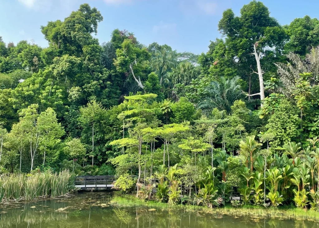 jardin botanique singapour asie