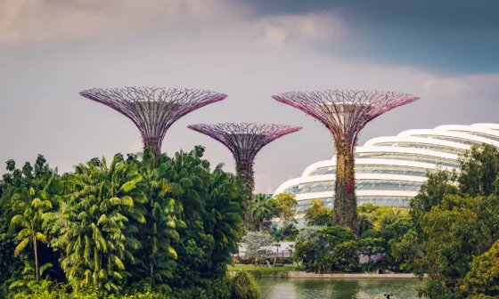 que faire a singapour visite voyage