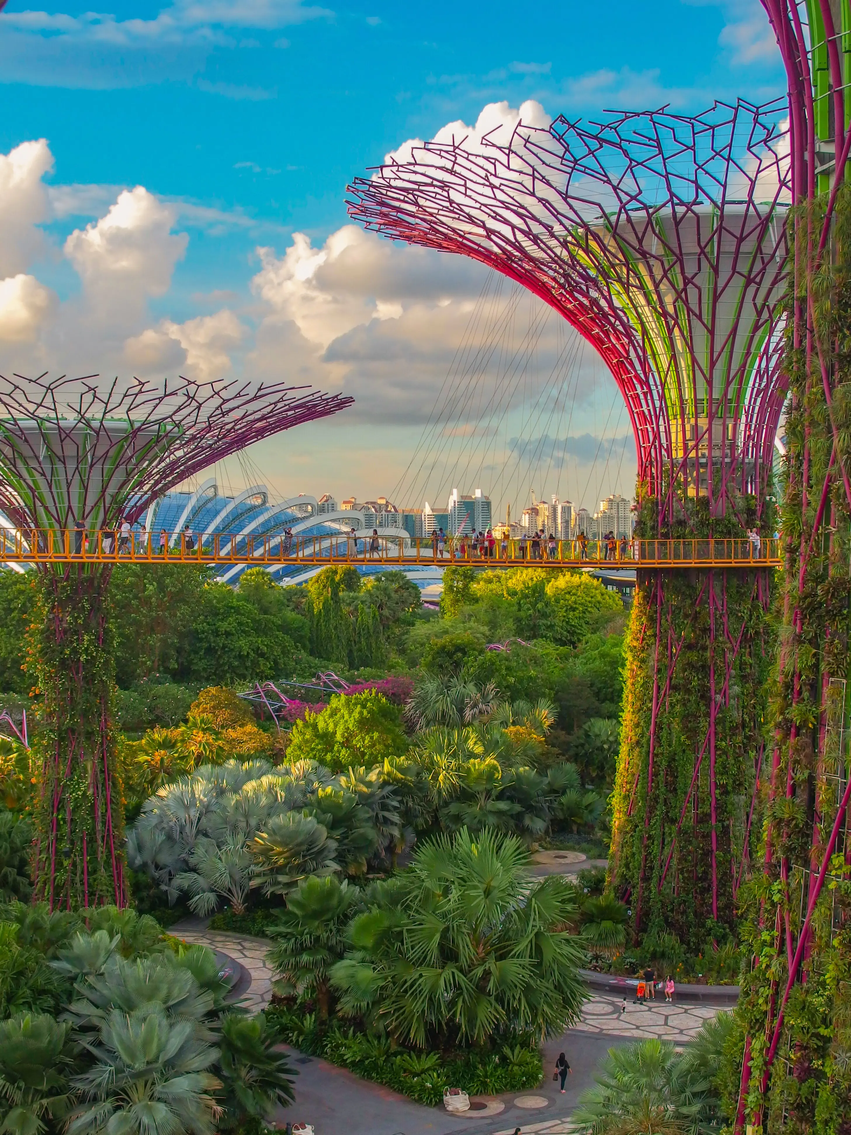 visiter jardins de la baie singapour