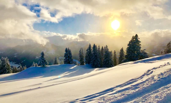 gstaad ou dormir hotels chalets