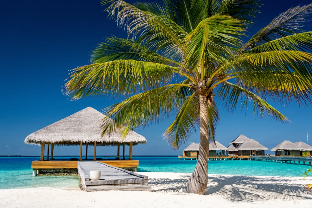 maldives janvier voyage