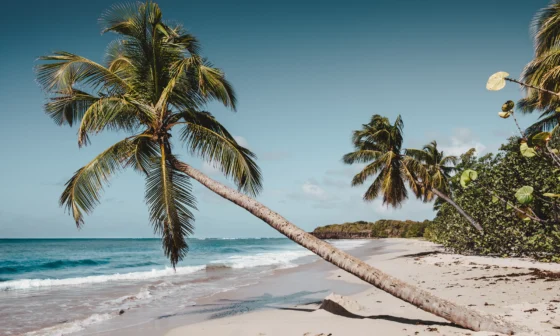 hotels ou dormir en martinique france ile