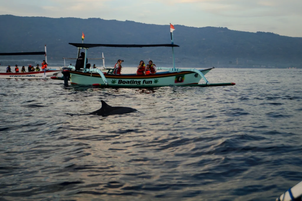 lovina dauphins bali