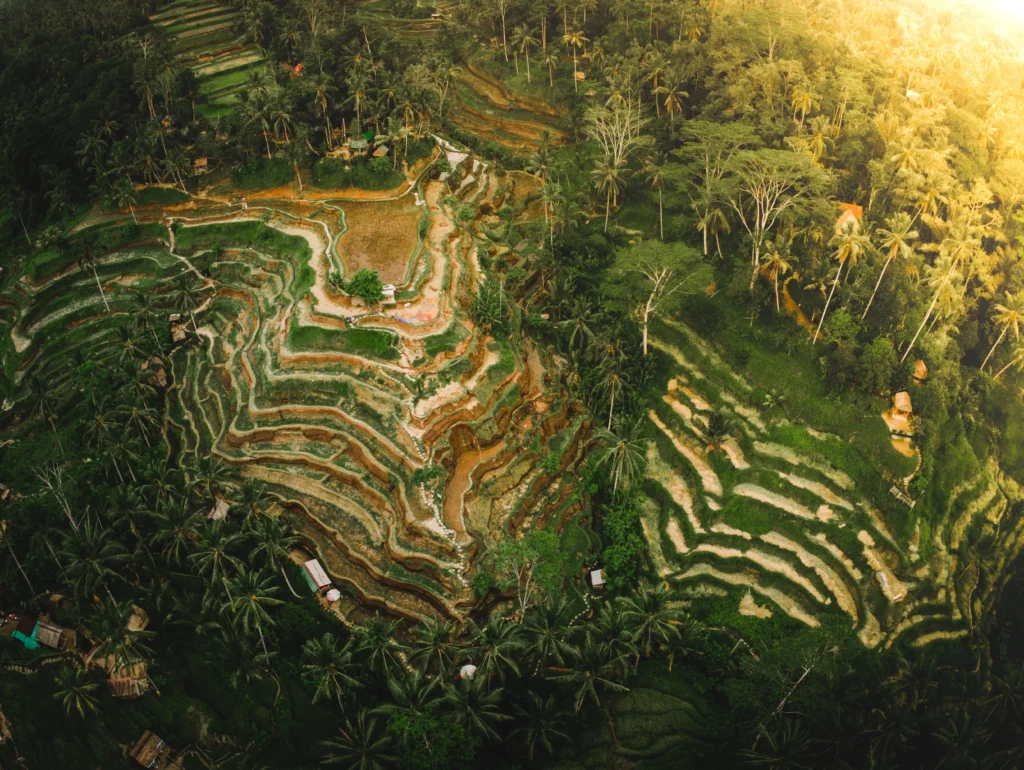 Visiter les rizières en terrasse de Tegallalang à Bali en Indonésie