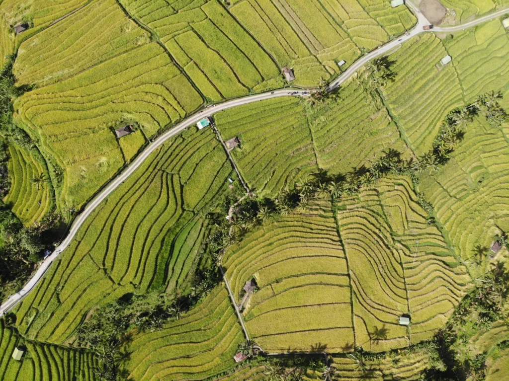 Visiter les rizières en terrasse de Jatiluwih à Bali en Indonésie