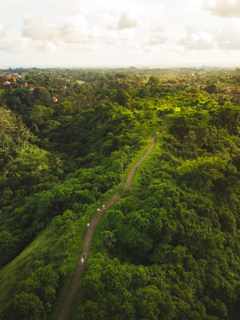 Chemin de Campuhan Ridge vue du ciel à Ubud