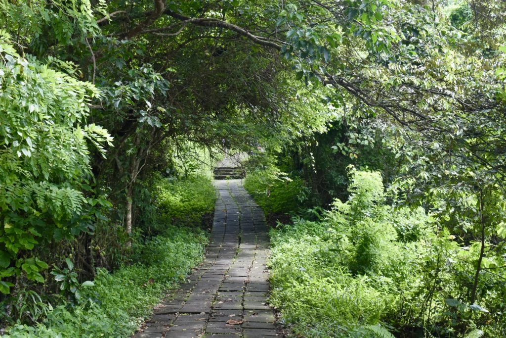 Chemin de Campuhan dans la jungle