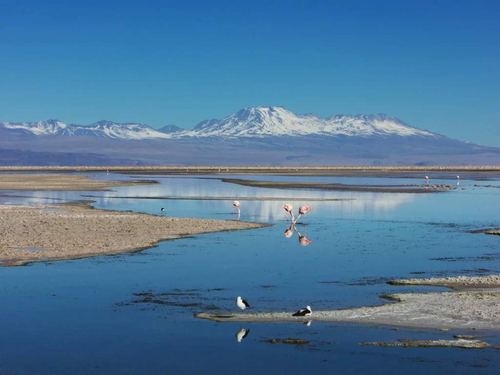 Salar de Atacama au Chili