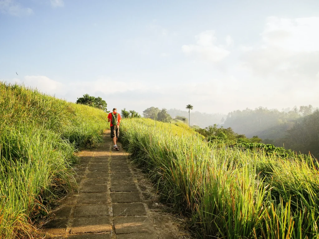 Promenade de Campuhan Ridge, itinéraire de 14 jours à Bali
